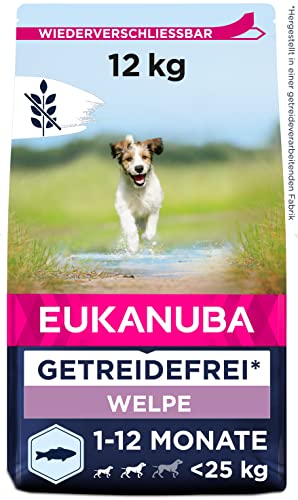 Eukanuba Welpenfutter getreidefrei mit Fisch für kleine und mittelgroße Rassen, 12 kg - Trockenfutter ohne Getreide für Junior Hunde, reich an Seefisch und Lachs, unterstützt gesundes Wachstum und Lernfähigkeit
