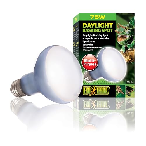 Exo Terra Daylight Basking Spot, Breitspektrum Tageslichtlampe R20, 75W, E27 für Terrarien und Thermoregulierung