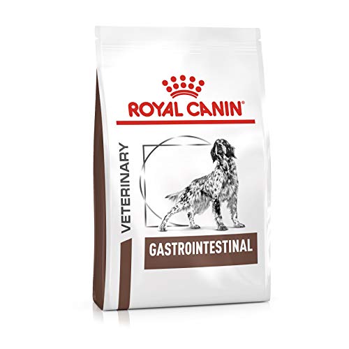Royal Canin Veterinary Gastrointestinal, Hundefutter für gesunde Verdauung, 15 kg