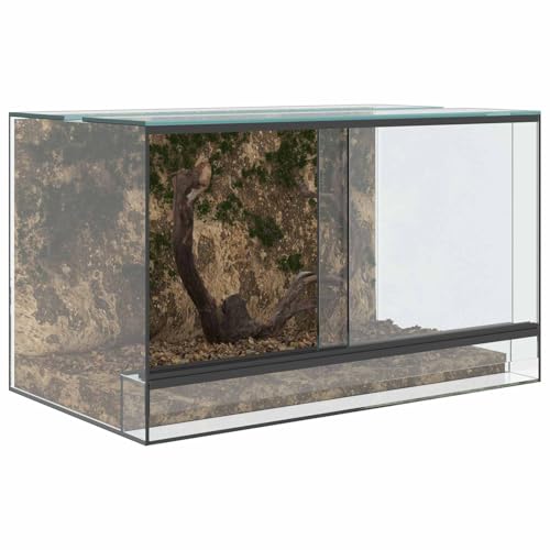 vidaXL Terrarium mit Speicher, Transparent, 50 x 30 x 30 cm, kratzfestes Glas, 360-Grad-Sicht, atmungsaktive Mesh-Panels