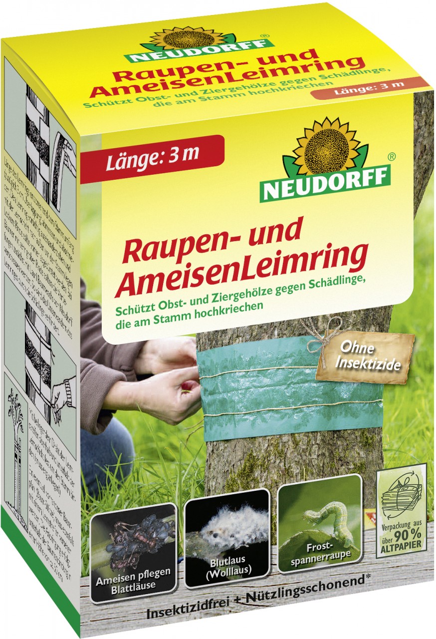Großansicht