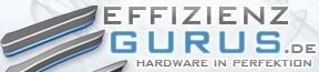 effizienzgurus.de