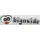 bignside.de