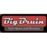 bigbruin