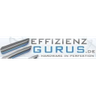 effizienzgurus.de